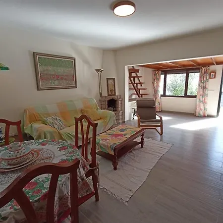 Strelitzia Пуэрто дель Кармен