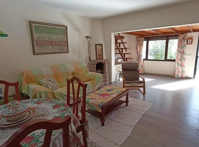 Strelitzia Пуэрто дель Кармен